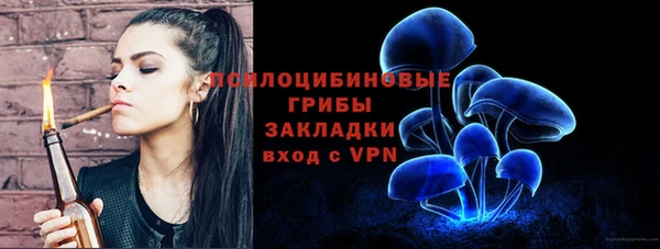 не бодяженный Арсеньев