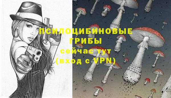 не бодяженный Арсеньев